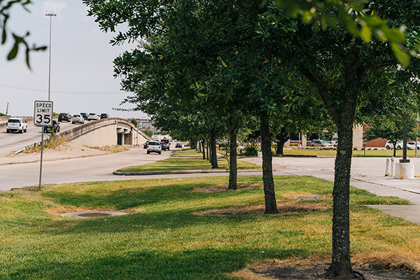 Houston Endowment Donates $8M to Local Organizations to Improve Parks, Fight Heat Islands