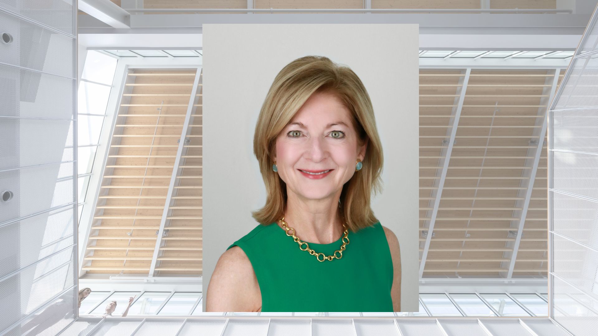 Houston Endowment president and CEO Ann B. Stern announces she will step down from Foundation